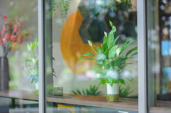 Peut-on trouver un dentiste spécialisé en parodontie disponible rapidement à Montréal ?